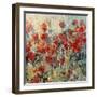 Red Poppy Field II-Tim O'toole-Framed Art Print