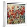 Red Poppy Field II-Tim O'toole-Framed Art Print