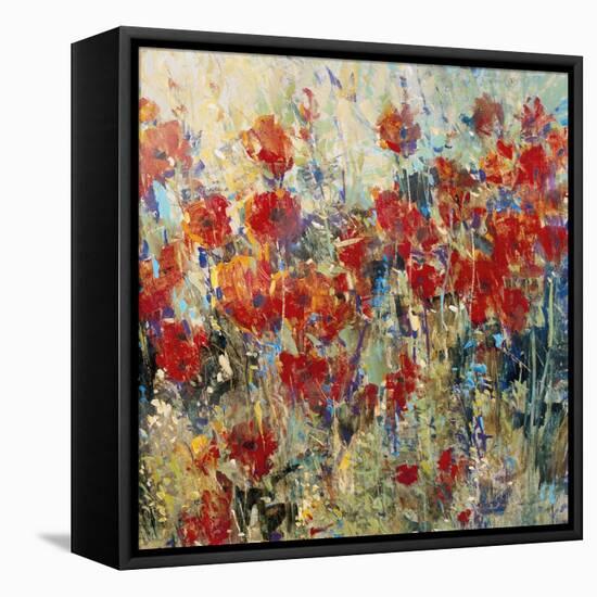 Red Poppy Field II-Tim O'toole-Framed Stretched Canvas