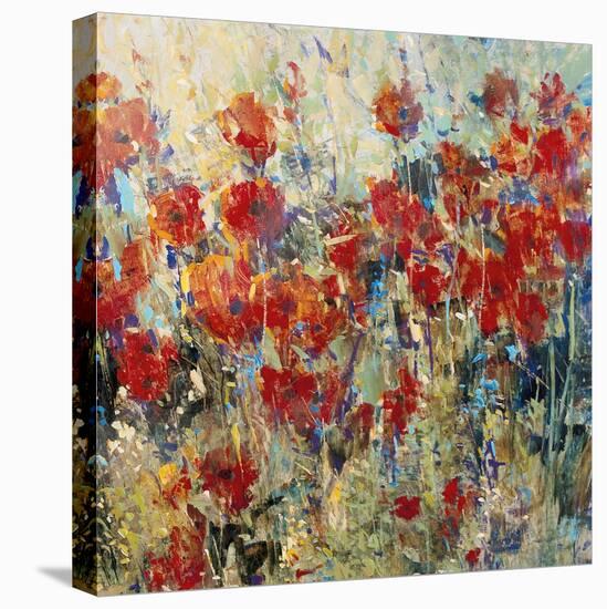 Red Poppy Field II-Tim O'toole-Stretched Canvas