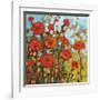 Red Poppy Field-Jennifer Lommers-Framed Giclee Print