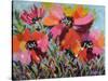 Red Poppy Field-Pamela Gatens-Stretched Canvas