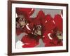 Red Poppy Forest I-Natasha Barnes-Framed Giclee Print