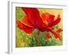 Red Poppy I-Marion Rose-Framed Giclee Print