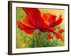 Red Poppy I-Marion Rose-Framed Giclee Print