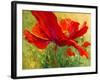 Red Poppy I-Marion Rose-Framed Giclee Print