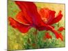 Red Poppy I-Marion Rose-Mounted Giclee Print