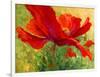 Red Poppy I-Marion Rose-Framed Giclee Print