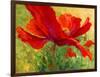 Red Poppy I-Marion Rose-Framed Giclee Print