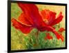 Red Poppy I-Marion Rose-Framed Giclee Print