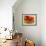 Red Poppy I-Marion Rose-Framed Giclee Print displayed on a wall