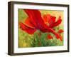 Red Poppy I-Marion Rose-Framed Giclee Print