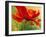 Red Poppy I-Marion Rose-Framed Giclee Print