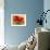 Red Poppy I-Marion Rose-Framed Giclee Print displayed on a wall