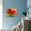 Red Poppy I-Marion Rose-Stretched Canvas displayed on a wall