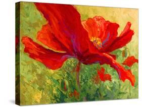 Red Poppy I-Marion Rose-Stretched Canvas