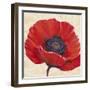 Red Poppy I-Tim OToole-Framed Art Print