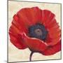 Red Poppy I-Tim OToole-Mounted Art Print