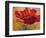 Red Poppy II-Marion Rose-Framed Giclee Print