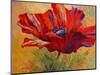 Red Poppy II-Marion Rose-Mounted Giclee Print