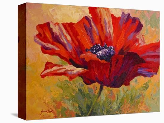 Red Poppy II-Marion Rose-Stretched Canvas