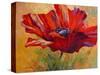 Red Poppy II-Marion Rose-Stretched Canvas