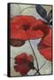 Red Poppy II-Sloane Addison  -Framed Stretched Canvas
