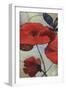 Red Poppy II-Sloane Addison  -Framed Art Print