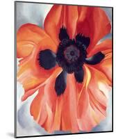 Red Poppy, No. VI, 1928-Georgia O'Keeffe-Mounted Art Print