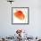 Red Poppy On White 01-Tom Quartermaine-Framed Premium Giclee Print displayed on a wall