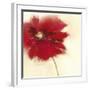 Red Poppy Power II-Marilyn Robertson-Framed Art Print