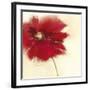 Red Poppy Power II-Marilyn Robertson-Framed Art Print