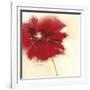 Red Poppy Power II-Marilyn Robertson-Framed Giclee Print