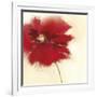 Red Poppy Power II-Marilyn Robertson-Framed Giclee Print