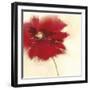 Red Poppy Power II-Marilyn Robertson-Framed Giclee Print