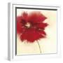 Red Poppy Power II-Marilyn Robertson-Framed Giclee Print