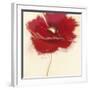 Red Poppy Power III-Marilyn Robertson-Framed Art Print