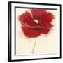 Red Poppy Power III-Marilyn Robertson-Framed Art Print