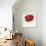 Red Poppy Power III-Marilyn Robertson-Framed Giclee Print displayed on a wall