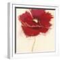 Red Poppy Power III-Marilyn Robertson-Framed Giclee Print