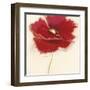 Red Poppy Power III-Marilyn Robertson-Framed Giclee Print