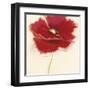 Red Poppy Power III-Marilyn Robertson-Framed Giclee Print