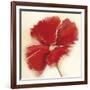 Red Poppy Power IV-Marilyn Robertson-Framed Giclee Print