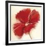 Red Poppy Power IV-Marilyn Robertson-Framed Giclee Print