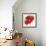 Red Poppy Power IV-Marilyn Robertson-Framed Giclee Print displayed on a wall