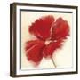 Red Poppy Power IV-Marilyn Robertson-Framed Giclee Print