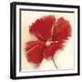 Red Poppy Power IV-Marilyn Robertson-Framed Giclee Print