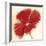 Red Poppy Power IV-Marilyn Robertson-Framed Giclee Print