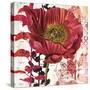 Red Poppy Story-Melissa Pluch-Stretched Canvas