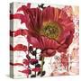 Red Poppy Story-Melissa Pluch-Stretched Canvas